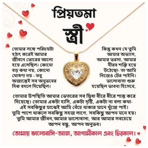 প্রিয়তমা স্ত্রী – প্রিমিয়াম হার্ট শেপ নেকলেস গিফট বক্স